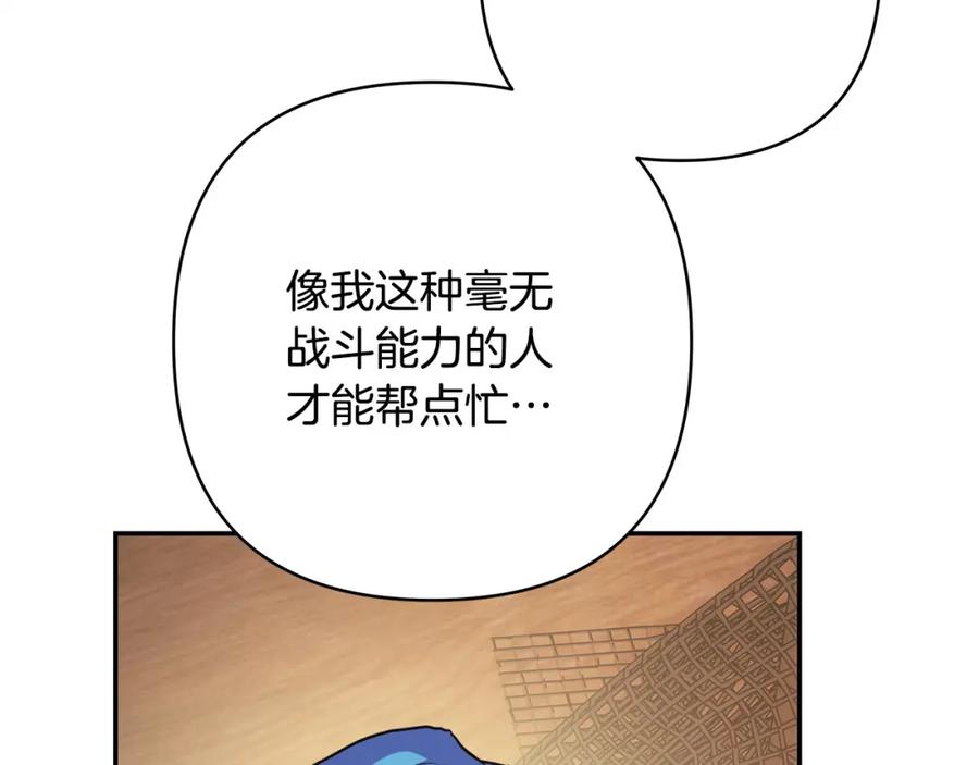 第251页