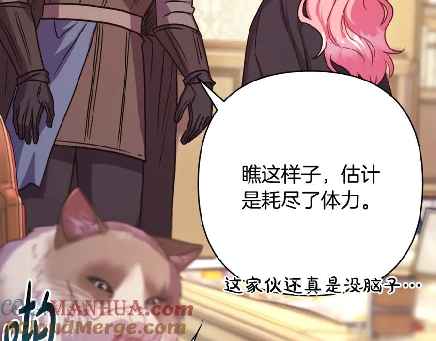 第240页