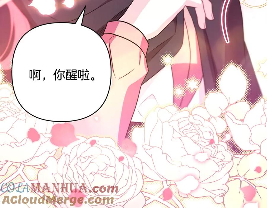 第264页