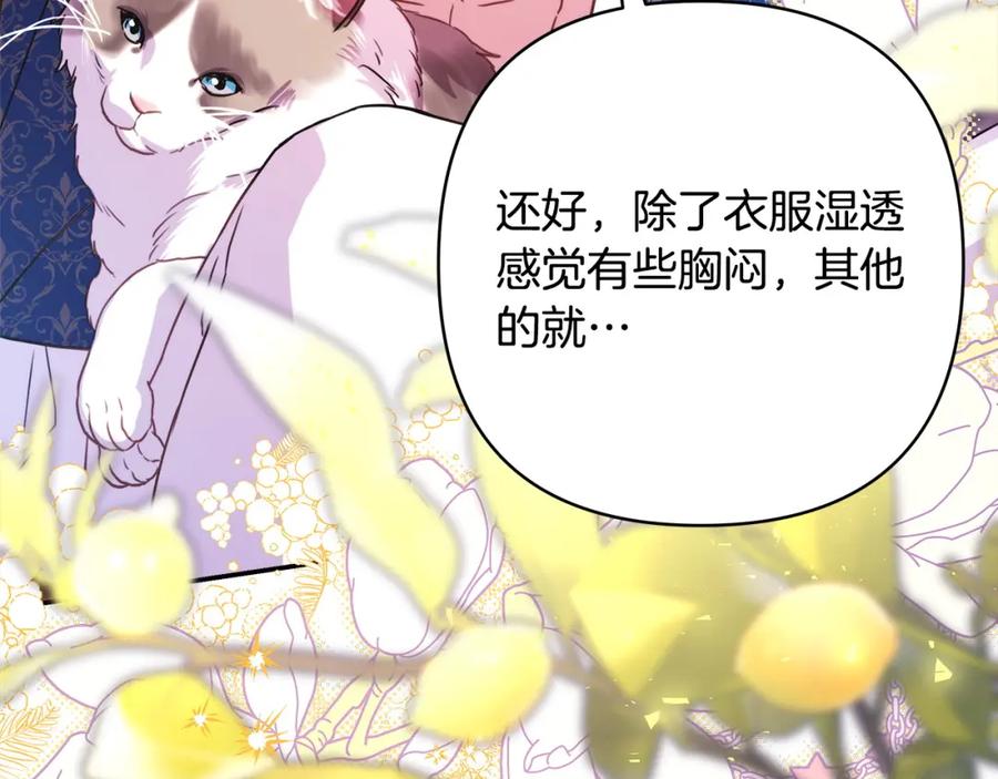 第271页