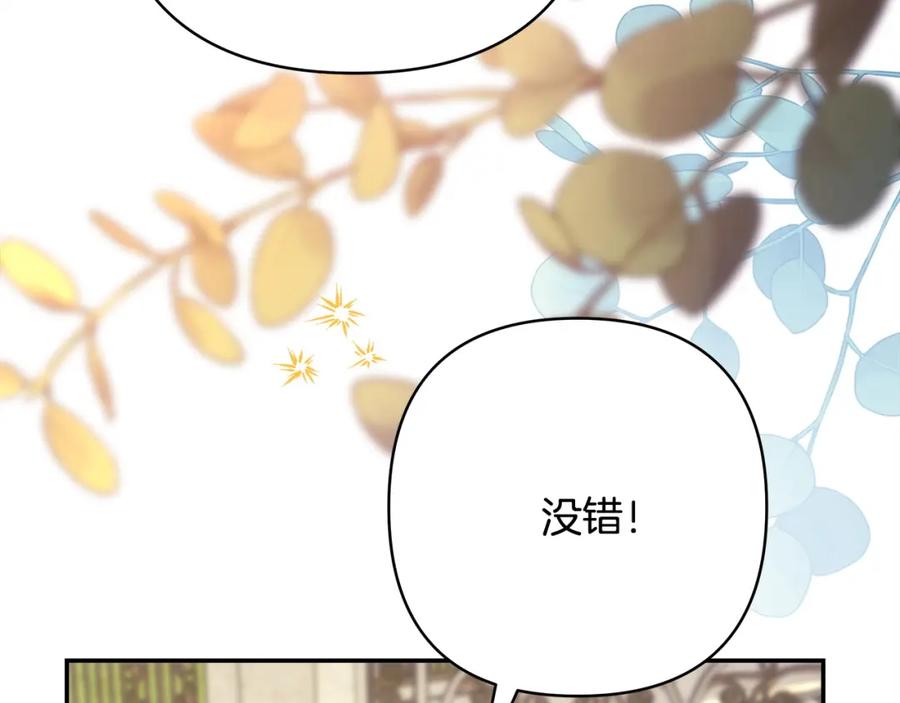 第244页