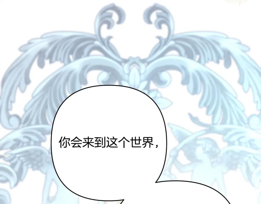 第237页