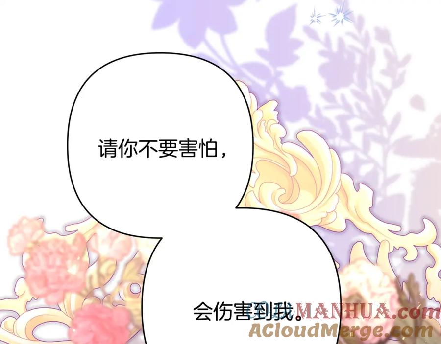 第260页
