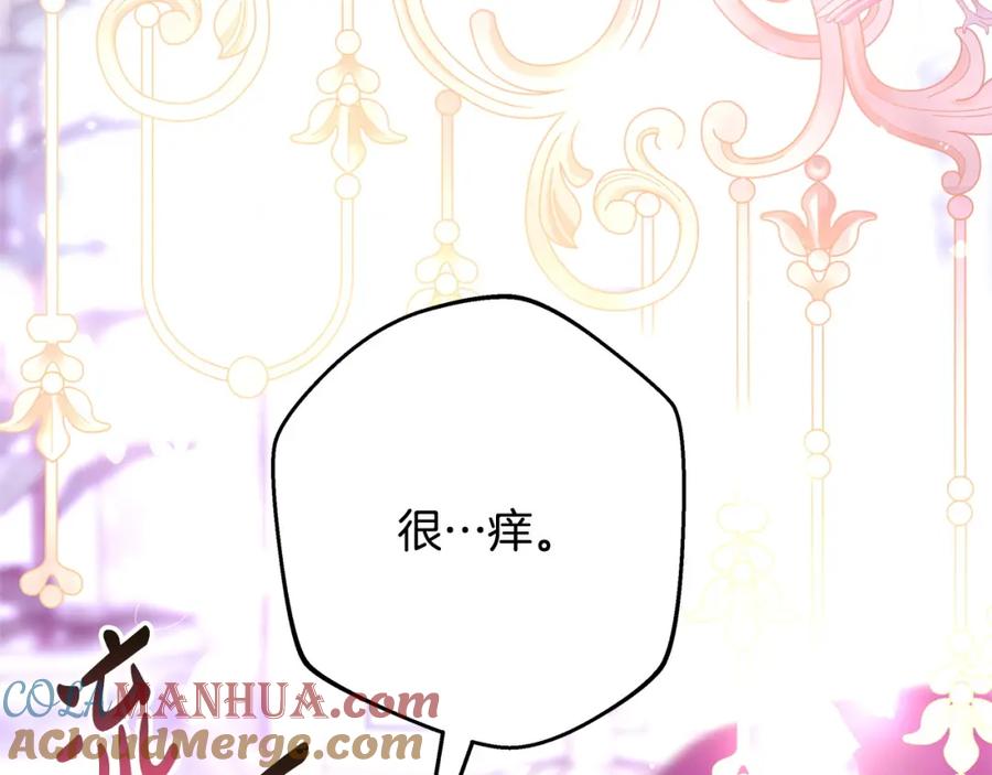 第217页