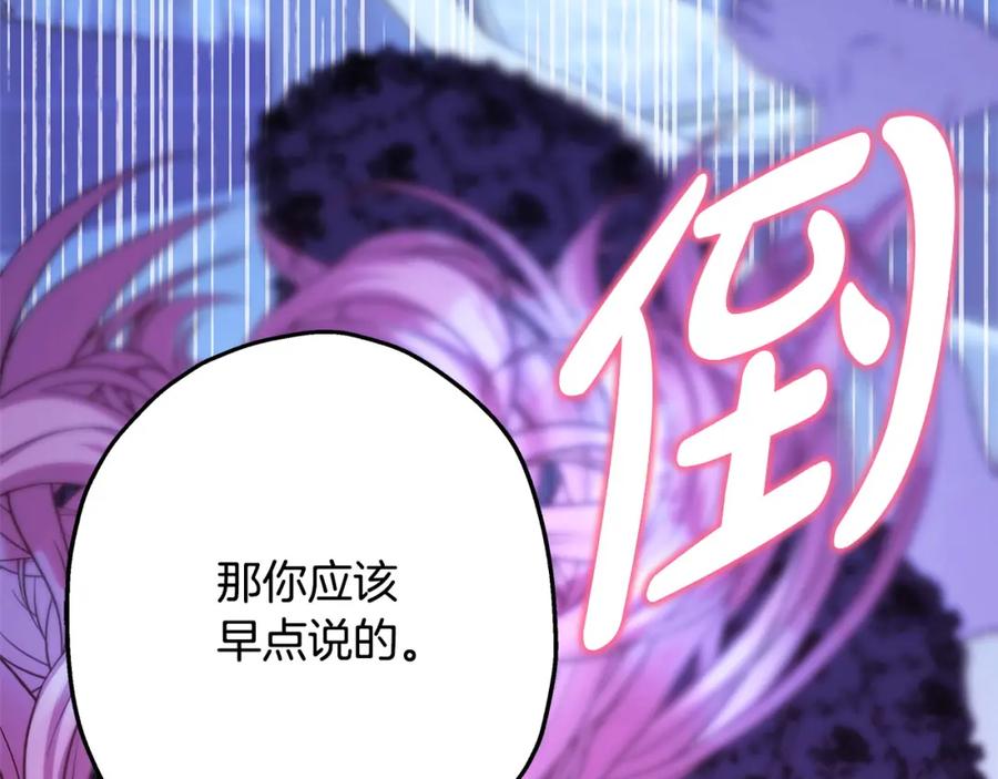 第255页
