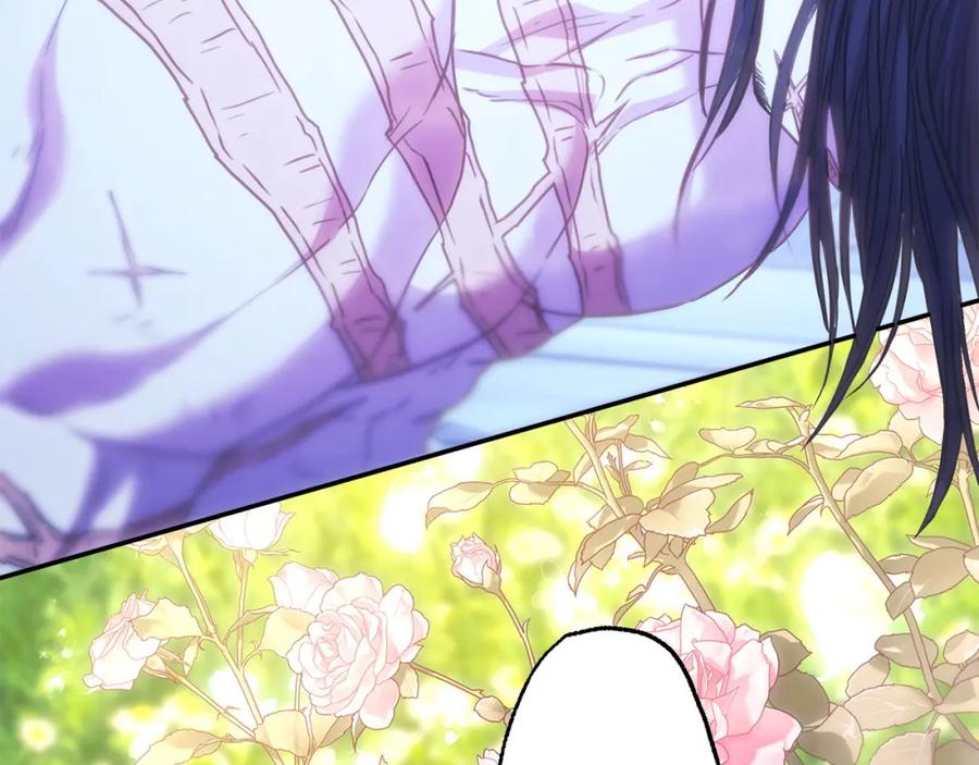 第288页