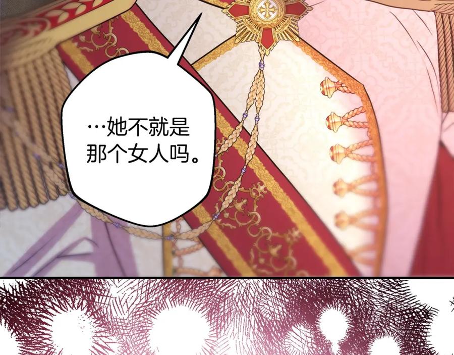 第229页