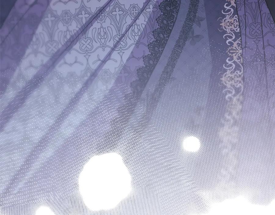 第258页