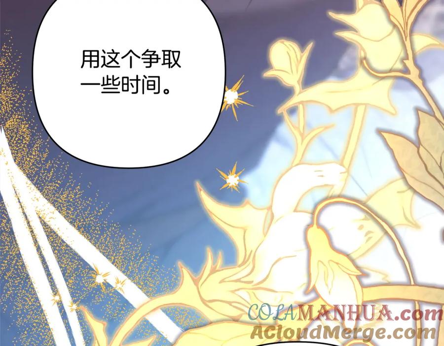 第217页