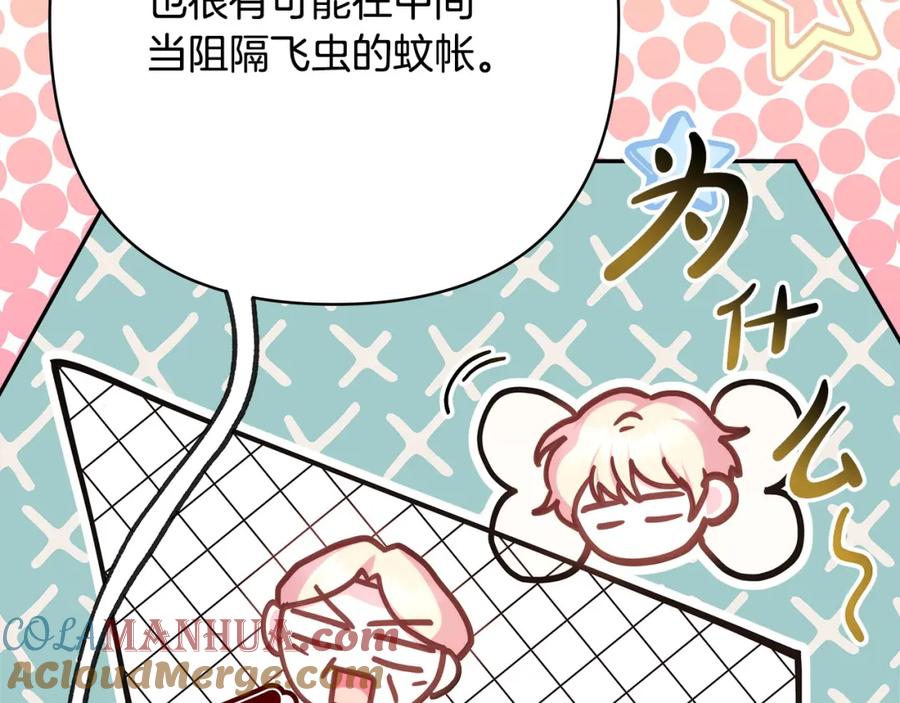 第233页