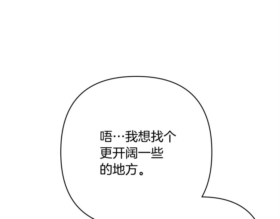 第244页