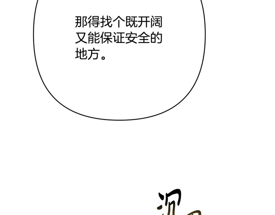 第247页