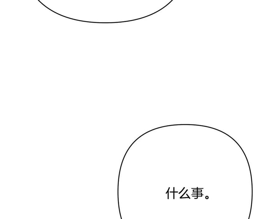 第251页
