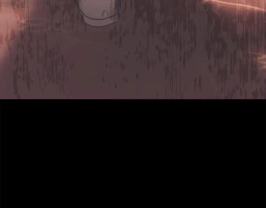 第238页