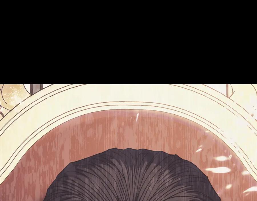 第246页
