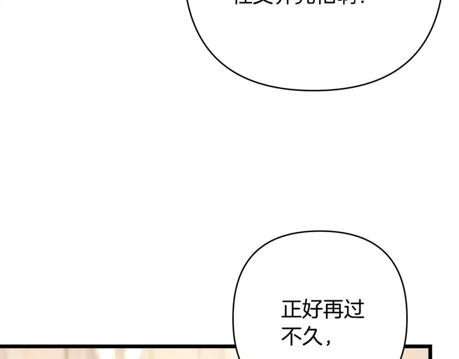 第239页