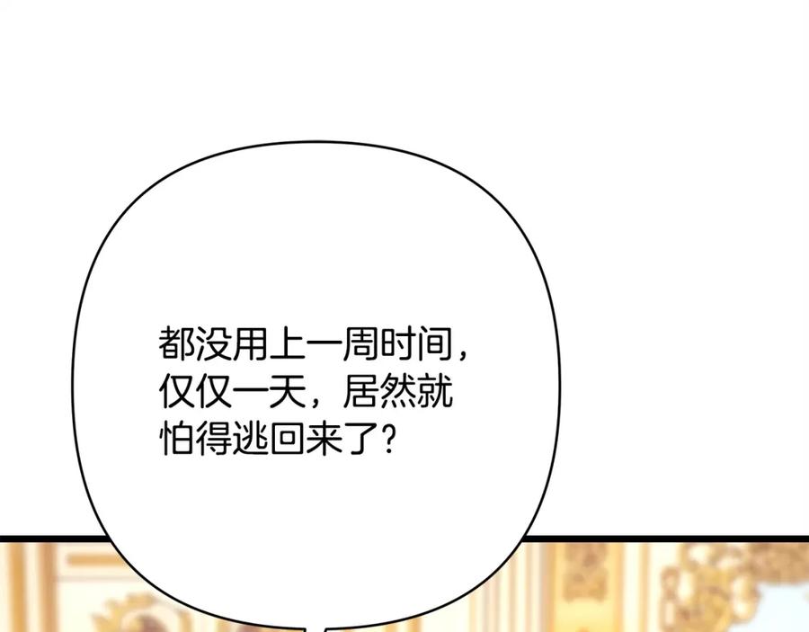 第262页