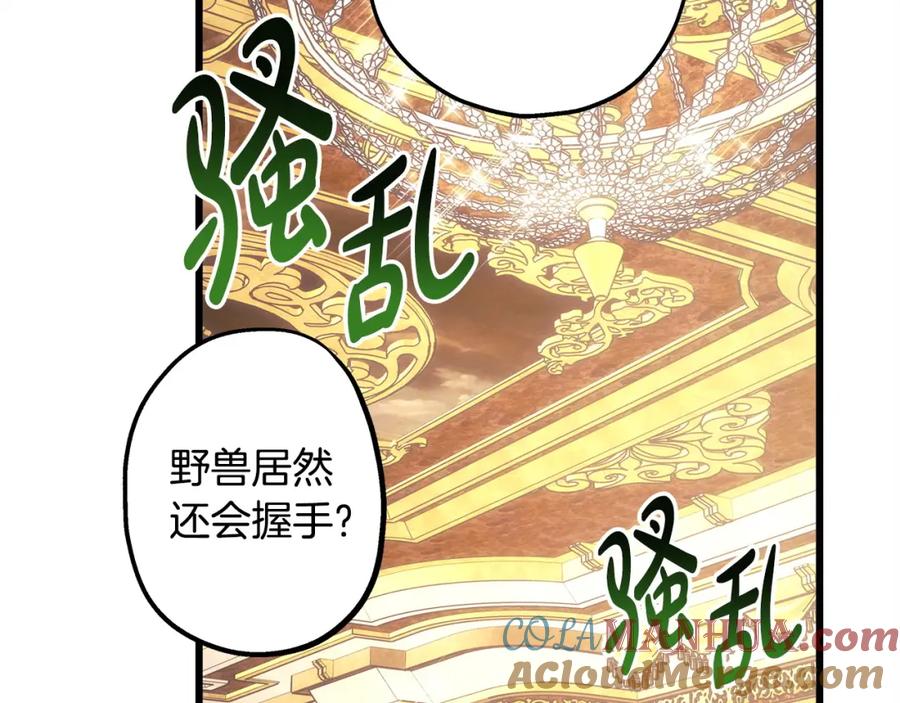 第229页
