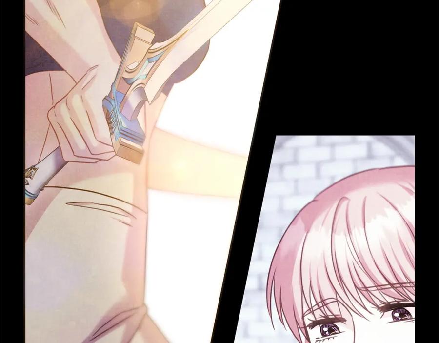 第223页