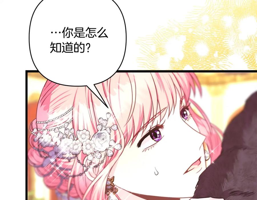 第246页