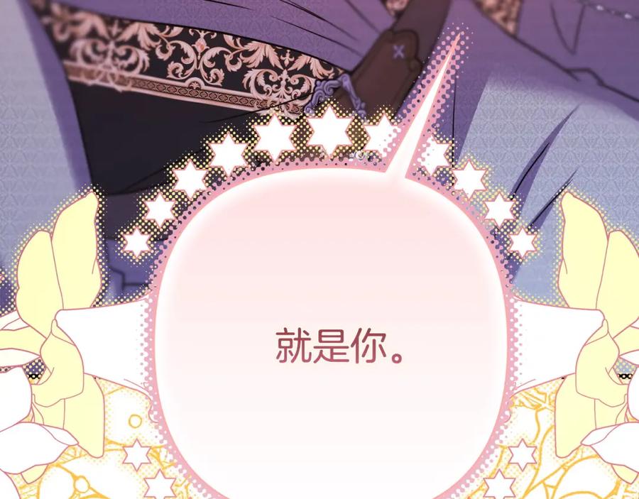 第260页