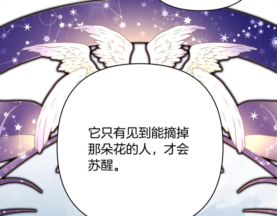 第266页