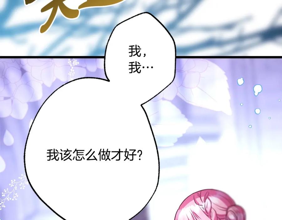 第251页