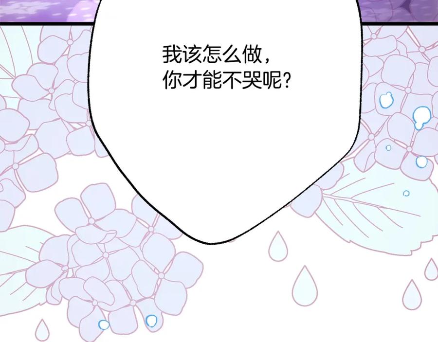 第255页
