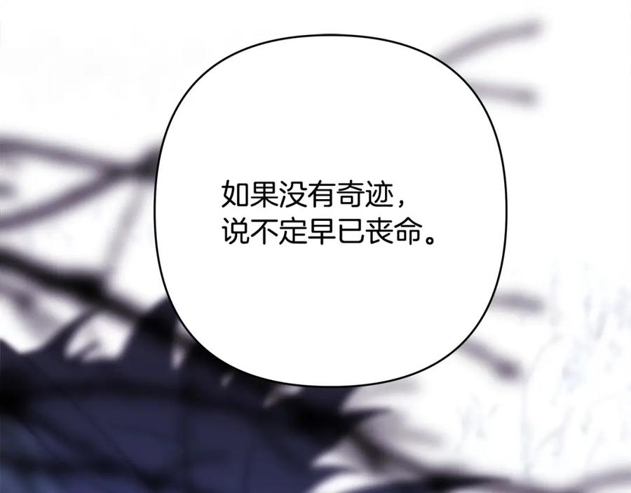 第282页
