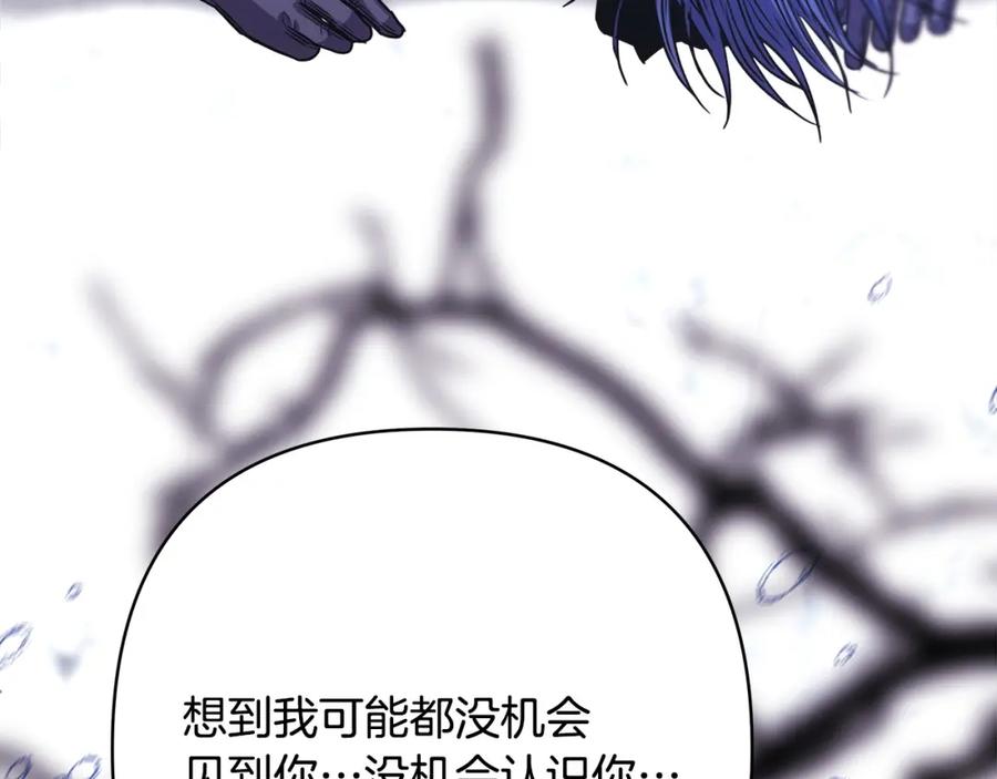 第284页