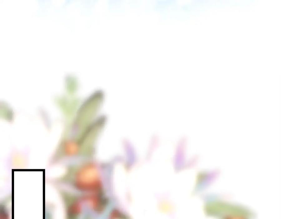第244页