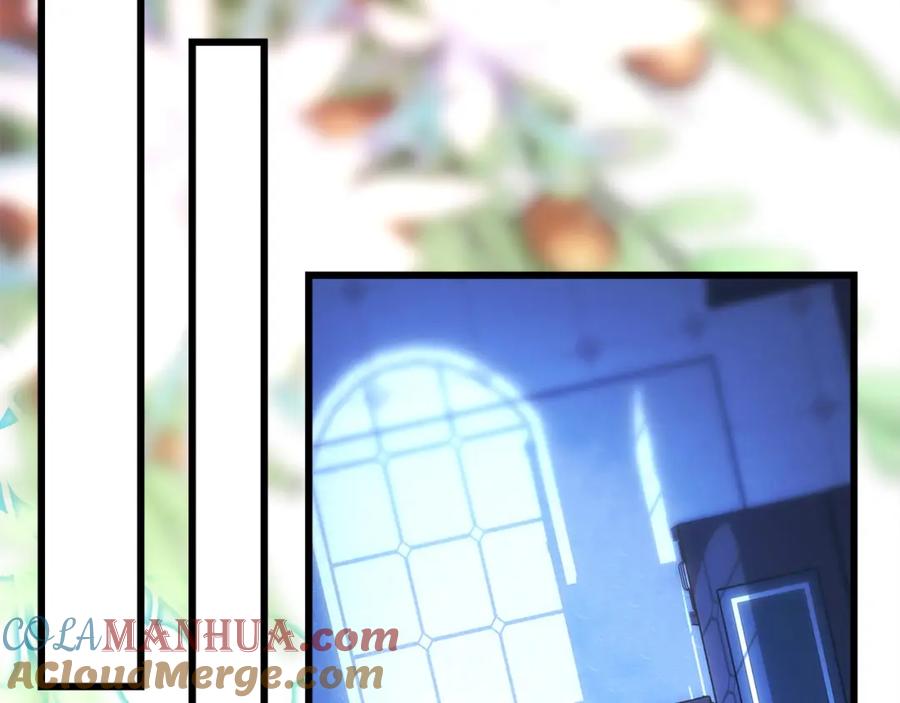第245页