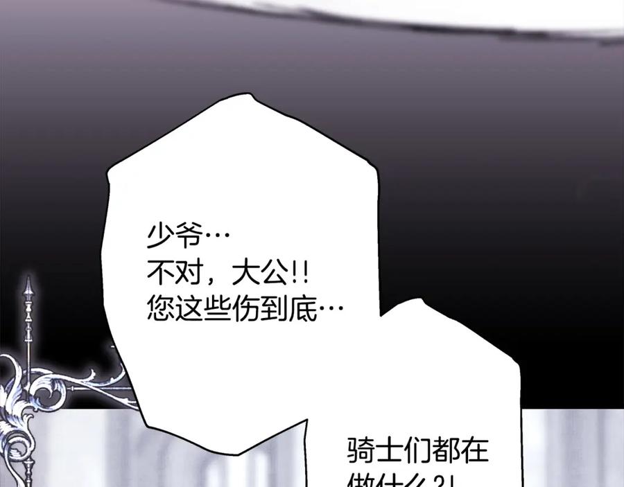 第241页