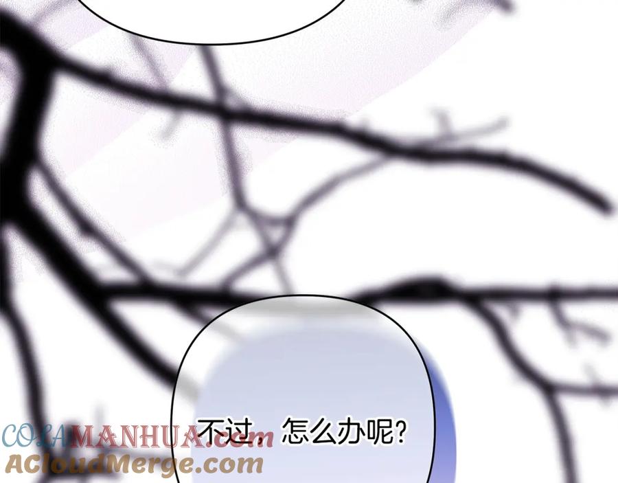 第369页