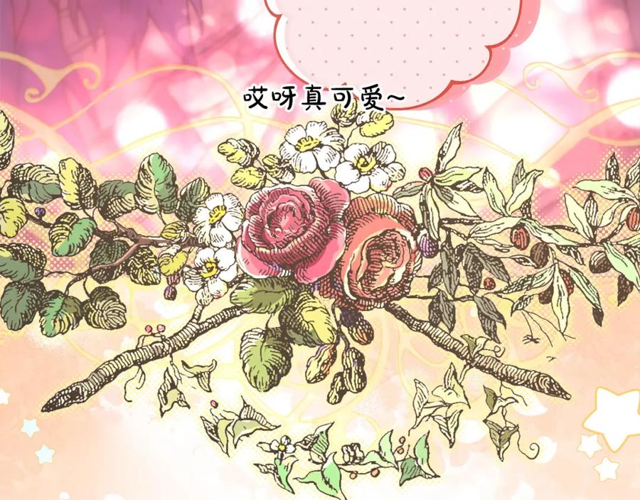 第246页