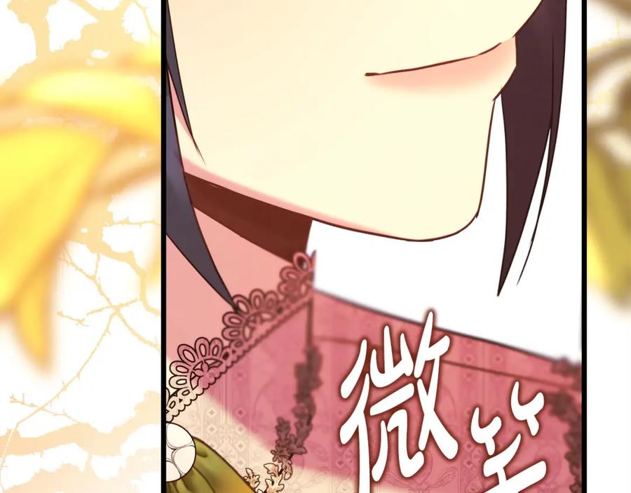 第211页