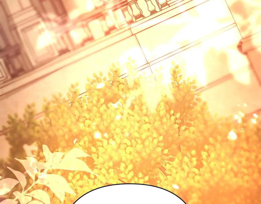 第215页
