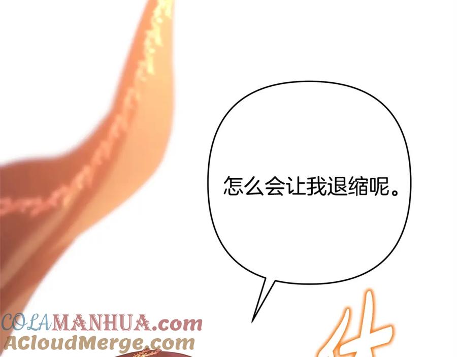 第221页
