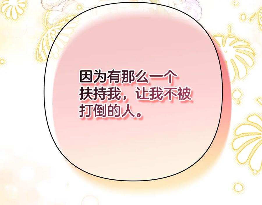 第223页