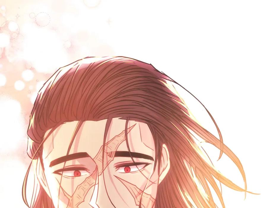 第224页