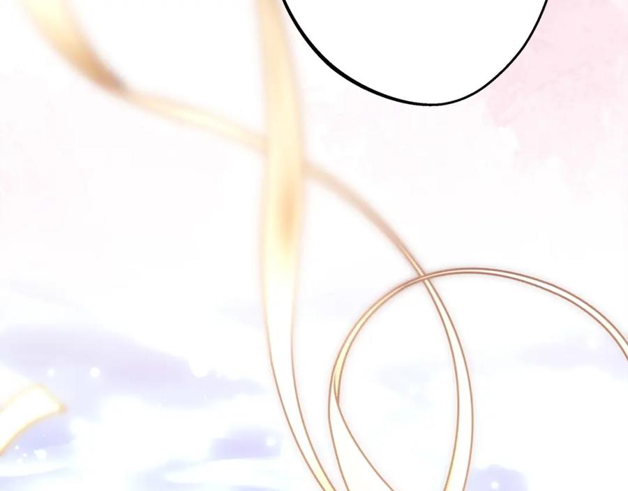 第242页