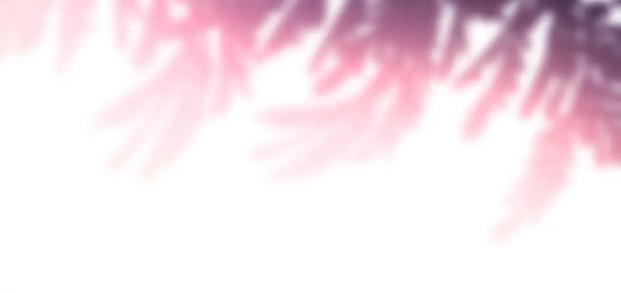 第263页