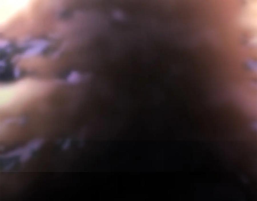 第272页