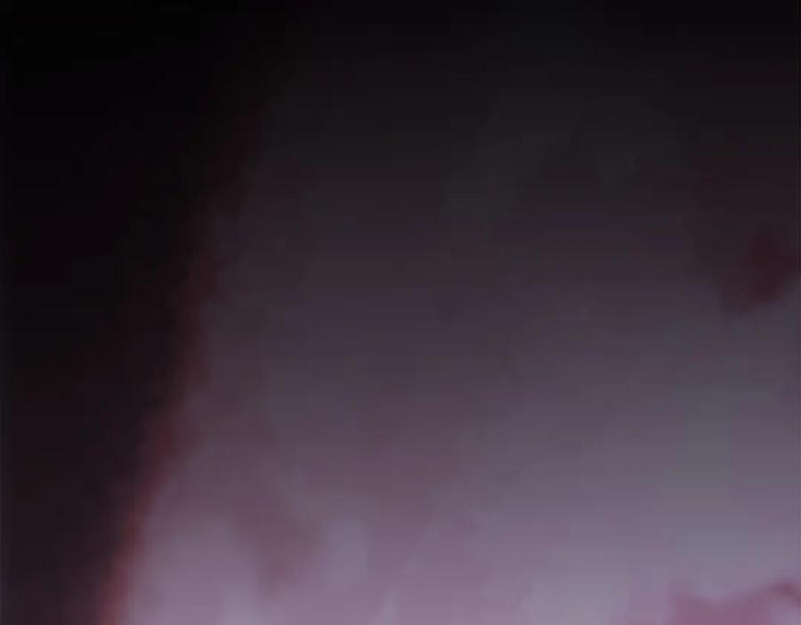 第275页
