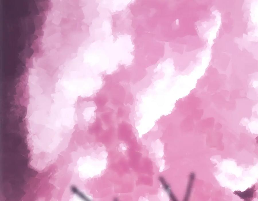 第278页