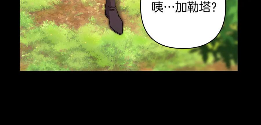 第305页