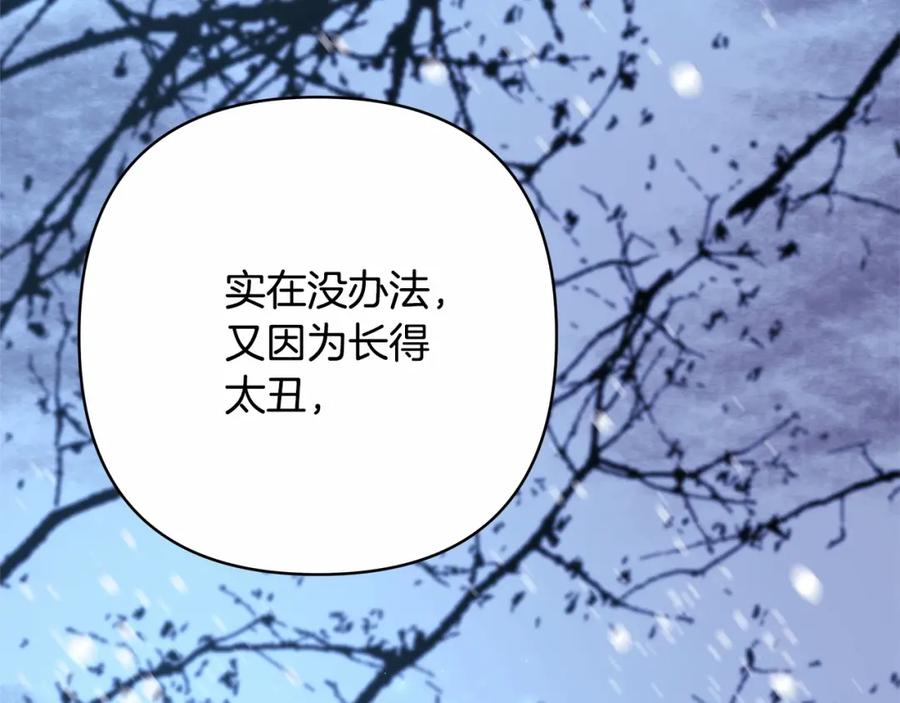 第204页