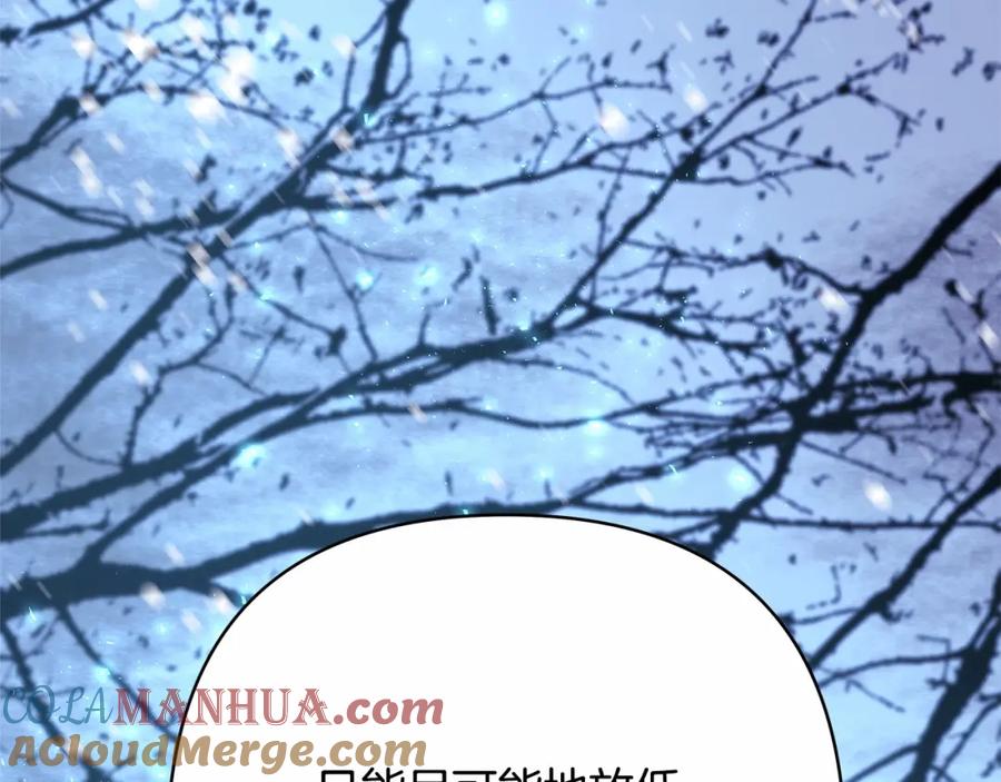 第205页