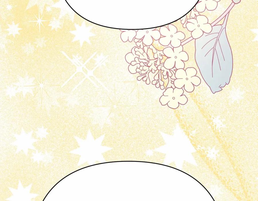 第242页