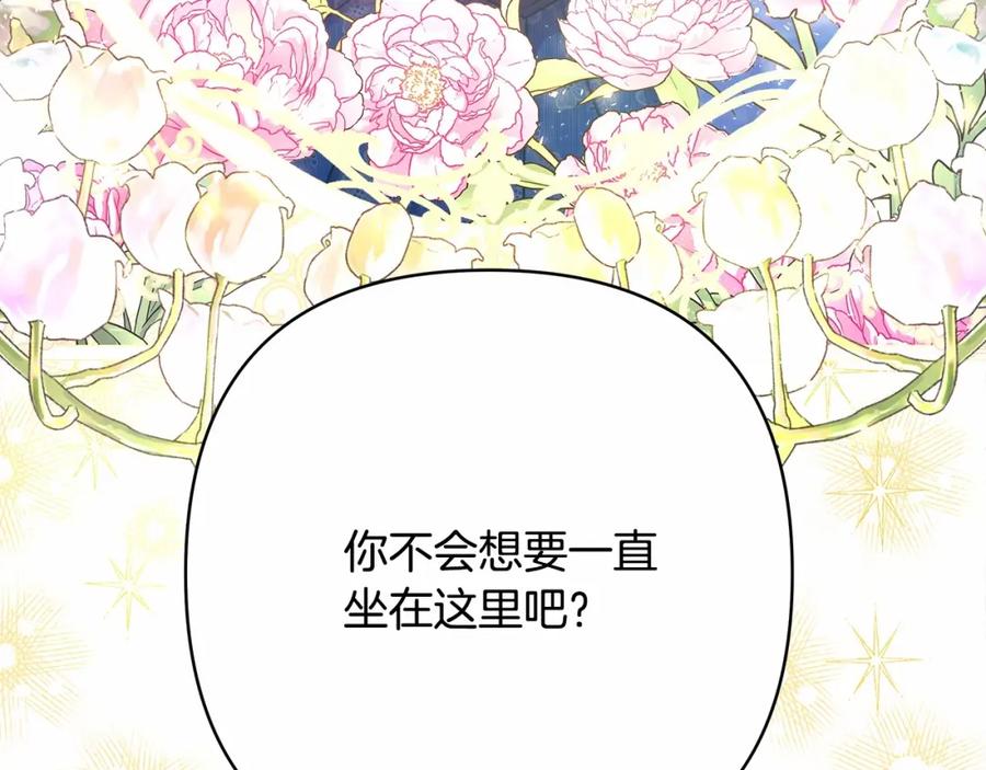 第255页